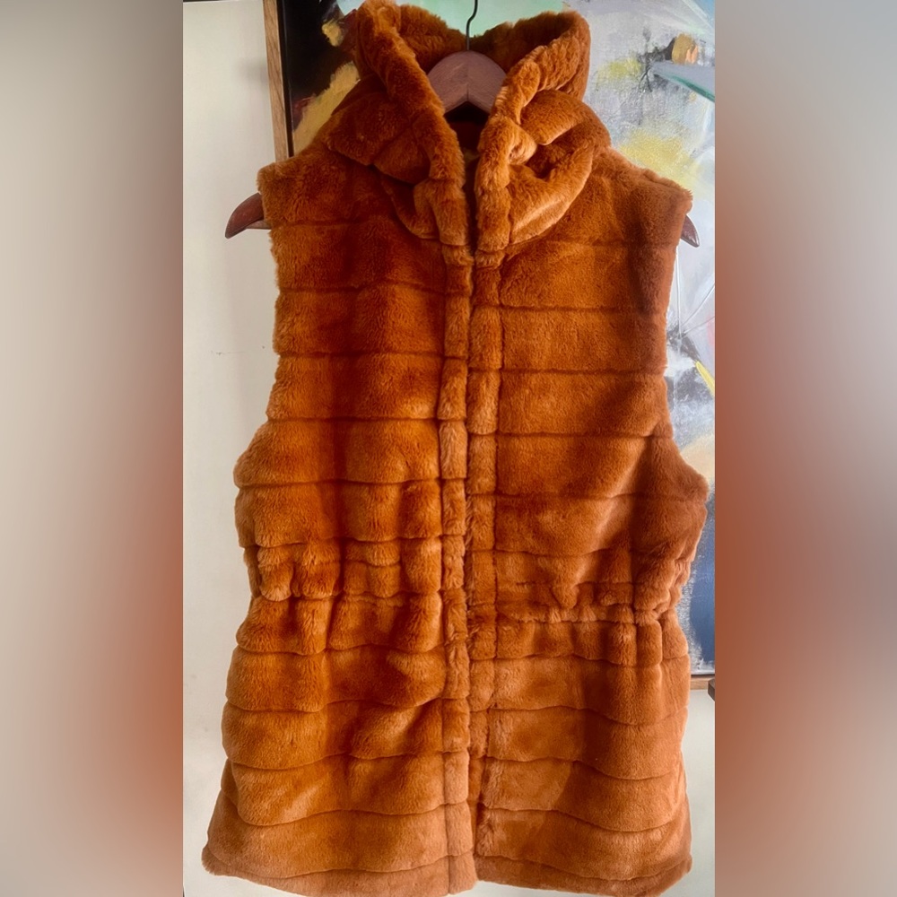 Monkee's Brand Solid Faux Fur Vest with Hood, Brick